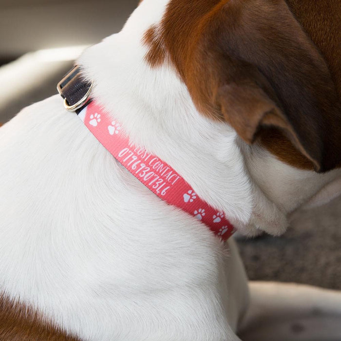 Dog Collar Customised With Any Text - Funky Paw Print Design - Christmas Gift For Pet Lover